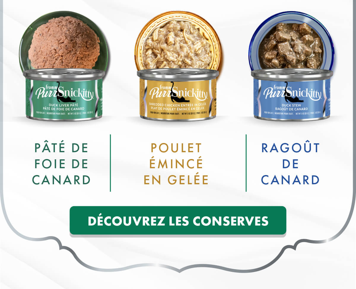 PÂTÉ DE FOIE DE CANARD | POULET ÉMINCÉ EN GELÉE | RAGOÛT DE CANARD : DÉCOUVREZ LES CONSERVES