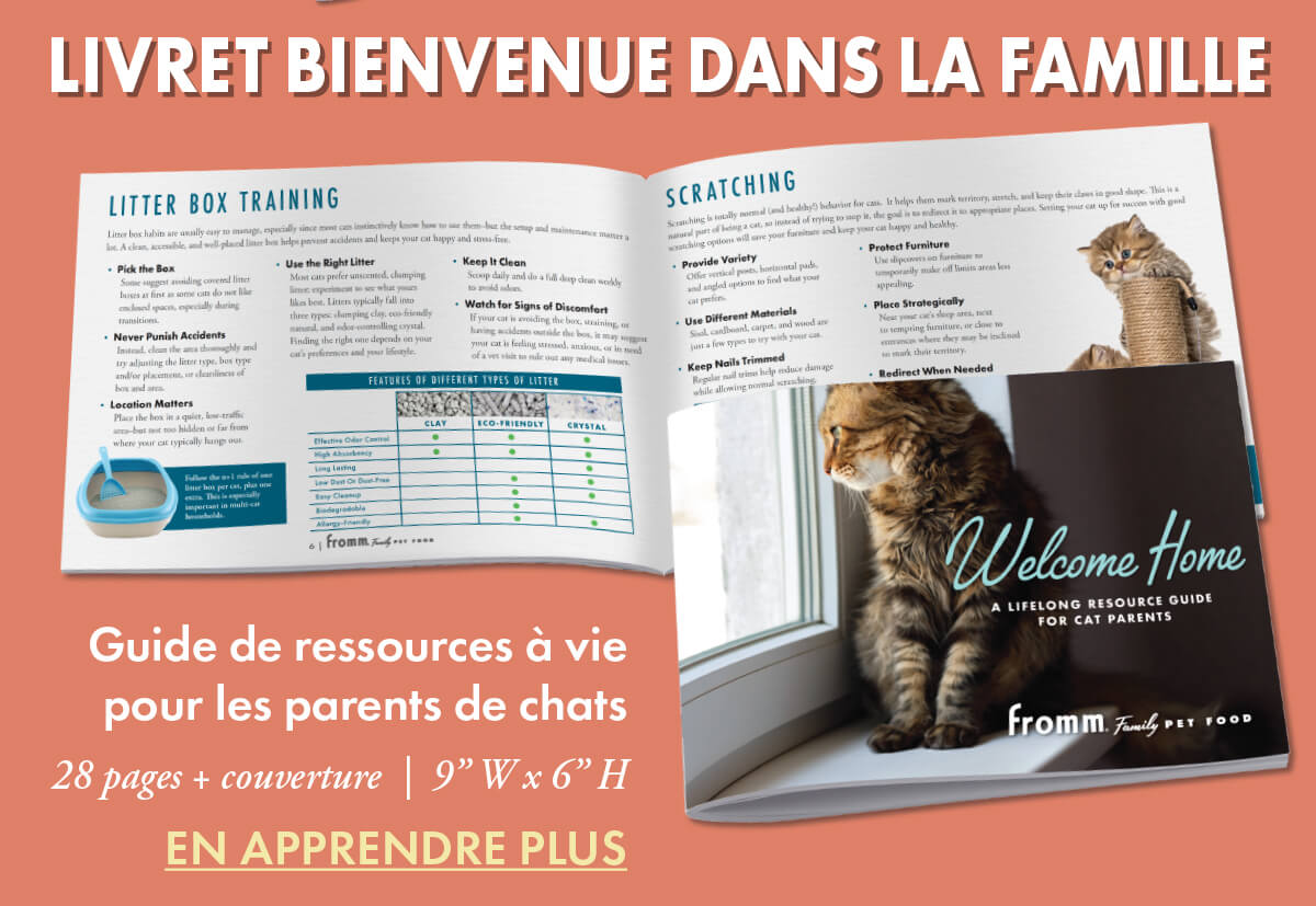 LIVRET BIENVENUE DANS LA FAMILLE [EN APPRENDRE PLUS]
