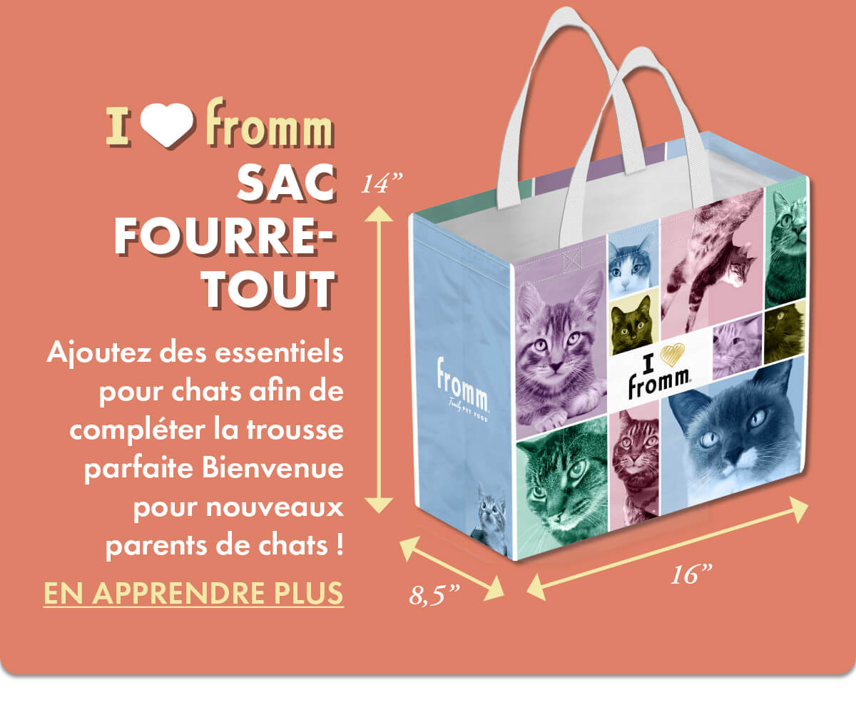 SAC FOURRETOUT [EN APPRENDRE PLUS]