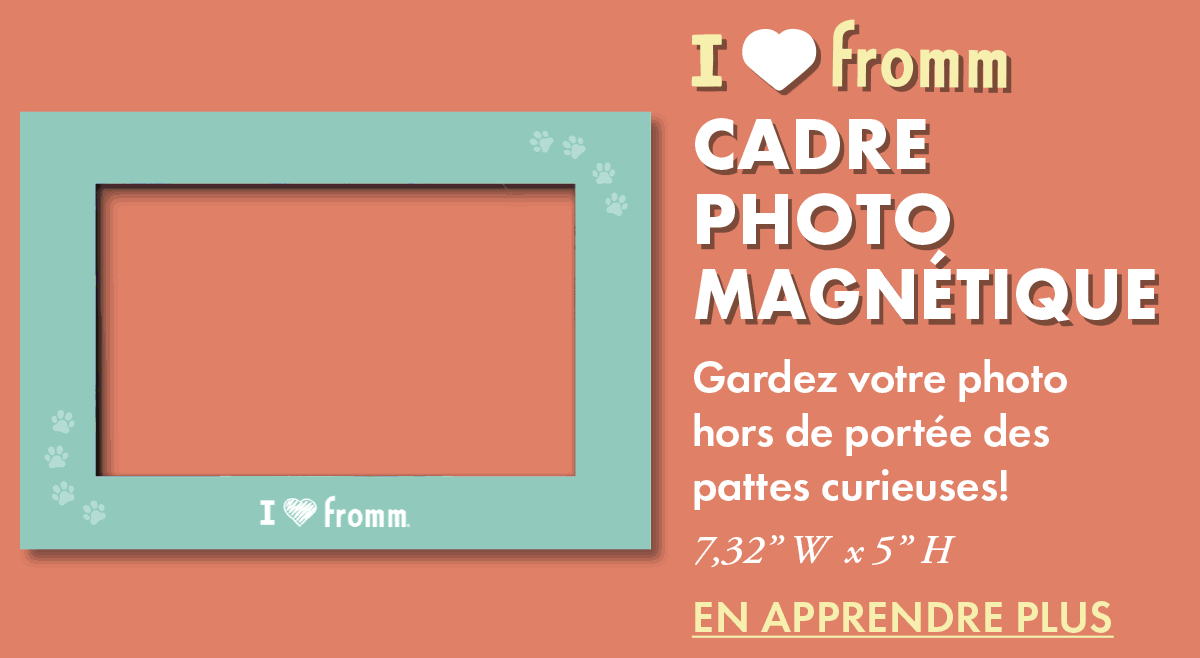 CADRE PHOTO MAGNÉTIQUE [EN APPRENDRE PLUS]
