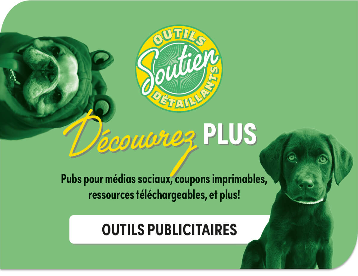 3786_EBLAST_pick-six-campaign-kickoff-retailer-eblast_20251002_03_FR_03