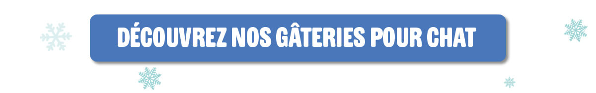 3800_EBLAST_santa-paws-is-coming-to-town-treat-tto-retailer-eblast_20251028_CA_FR_14